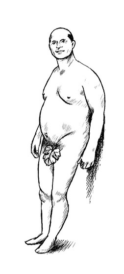 Иллюстрация к книге — Психология типов тела. Развитие новых возможностей. Практический подход [i_056.jpg]