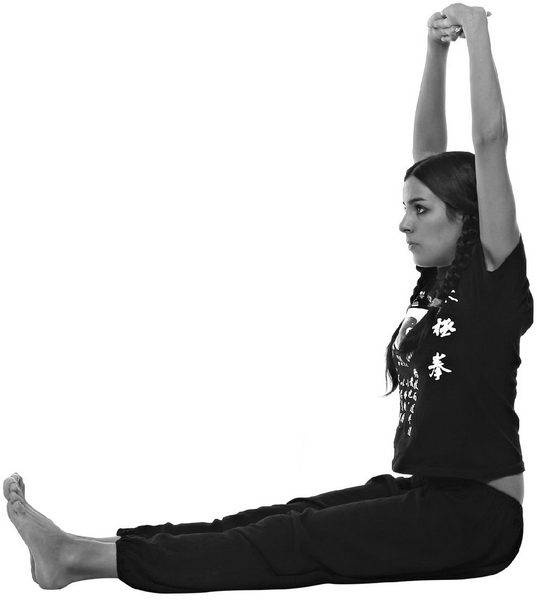 Иллюстрация к книге — Тайцзи. Секреты здоровья [i_013.jpg]