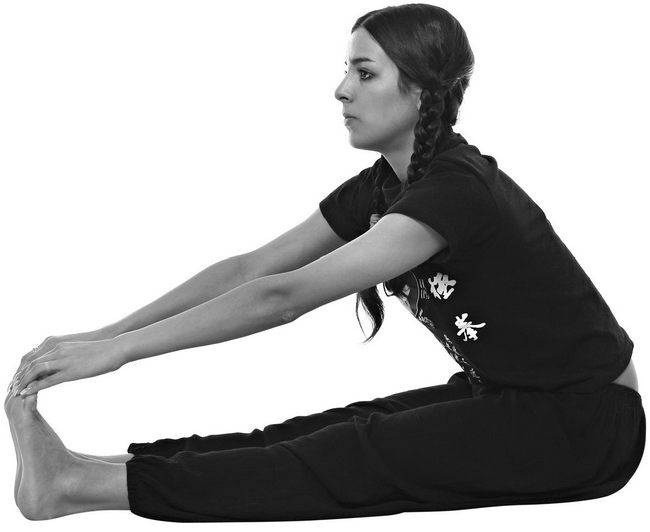 Иллюстрация к книге — Тайцзи. Секреты здоровья [i_015.jpg]