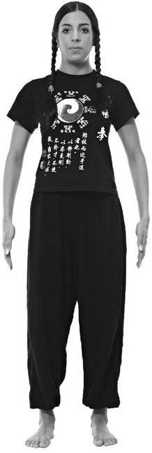 Иллюстрация к книге — Тайцзи. Секреты здоровья [i_020.jpg]