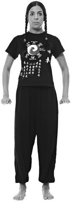 Иллюстрация к книге — Тайцзи. Секреты здоровья [i_021.jpg]