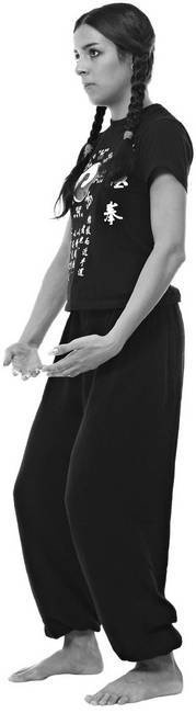 Иллюстрация к книге — Тайцзи. Секреты здоровья [i_022.jpg]