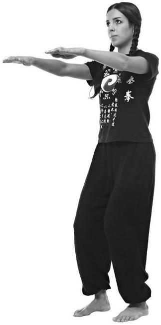 Иллюстрация к книге — Тайцзи. Секреты здоровья [i_024.jpg]