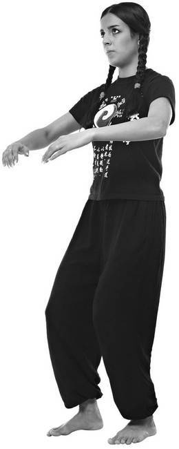 Иллюстрация к книге — Тайцзи. Секреты здоровья [i_025.jpg]