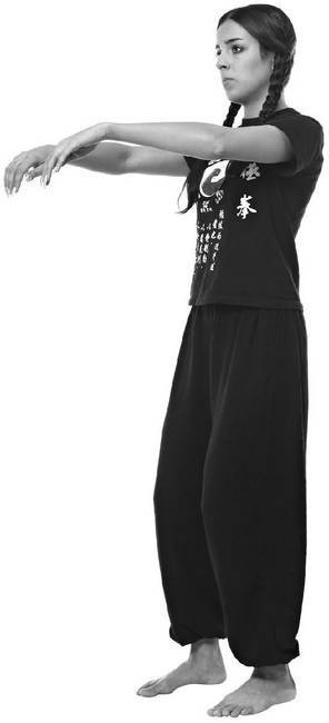 Иллюстрация к книге — Тайцзи. Секреты здоровья [i_026.jpg]