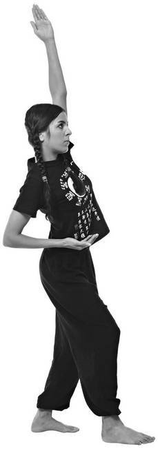 Иллюстрация к книге — Тайцзи. Секреты здоровья [i_029.jpg]