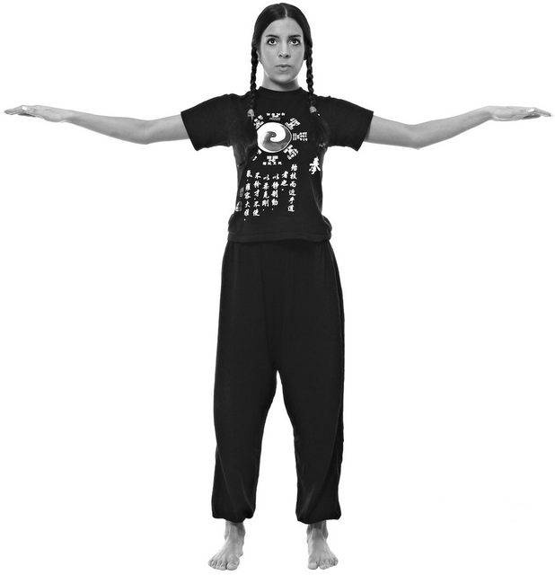 Иллюстрация к книге — Тайцзи. Секреты здоровья [i_030.jpg]