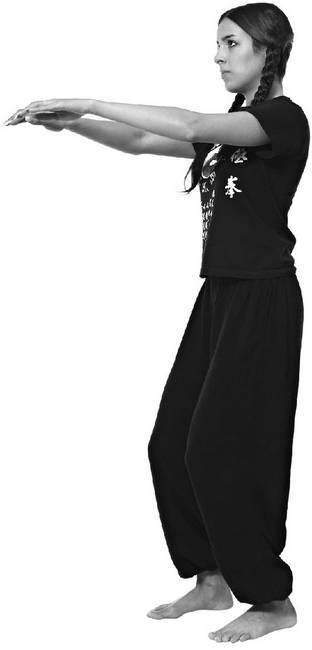 Иллюстрация к книге — Тайцзи. Секреты здоровья [i_031.jpg]