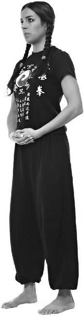 Иллюстрация к книге — Тайцзи. Секреты здоровья [i_032.jpg]