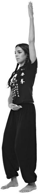 Иллюстрация к книге — Тайцзи. Секреты здоровья [i_033.jpg]