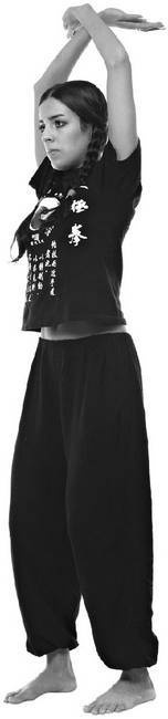 Иллюстрация к книге — Тайцзи. Секреты здоровья [i_035.jpg]