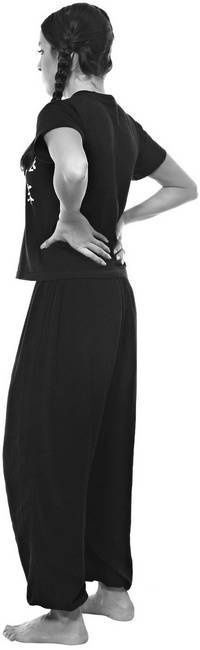 Иллюстрация к книге — Тайцзи. Секреты здоровья [i_036.jpg]