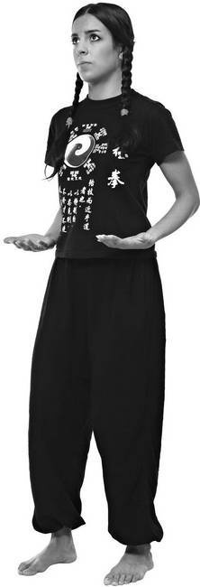 Иллюстрация к книге — Тайцзи. Секреты здоровья [i_044.jpg]