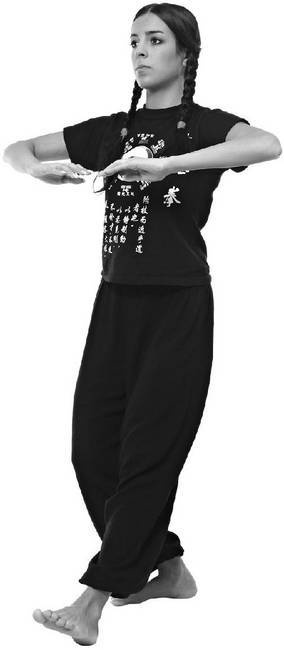 Иллюстрация к книге — Тайцзи. Секреты здоровья [i_048.jpg]