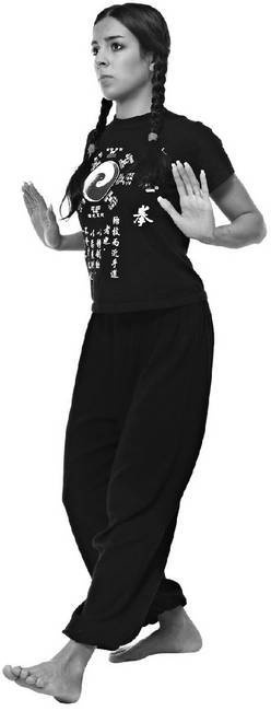 Иллюстрация к книге — Тайцзи. Секреты здоровья [i_049.jpg]