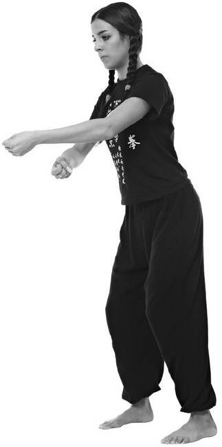 Иллюстрация к книге — Тайцзи. Секреты здоровья [i_055.jpg]