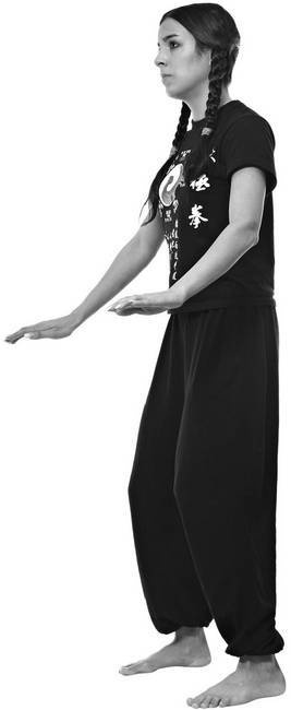 Иллюстрация к книге — Тайцзи. Секреты здоровья [i_056.jpg]