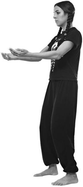 Иллюстрация к книге — Тайцзи. Секреты здоровья [i_057.jpg]