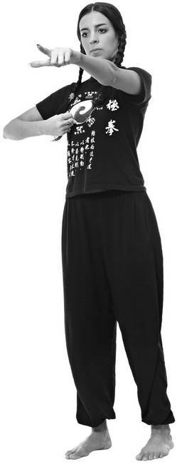 Иллюстрация к книге — Тайцзи. Секреты здоровья [i_065.jpg]