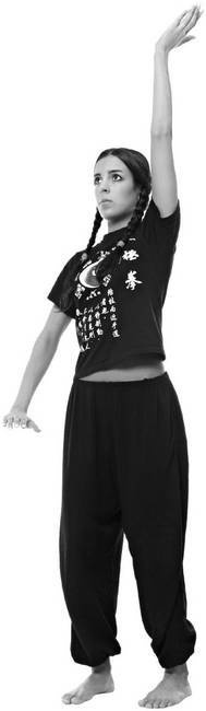 Иллюстрация к книге — Тайцзи. Секреты здоровья [i_067.jpg]