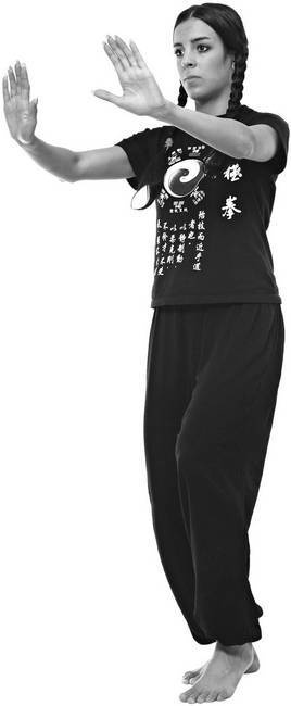 Иллюстрация к книге — Тайцзи. Секреты здоровья [i_070.jpg]