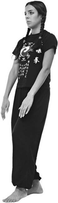 Иллюстрация к книге — Тайцзи. Секреты здоровья [i_071.jpg]