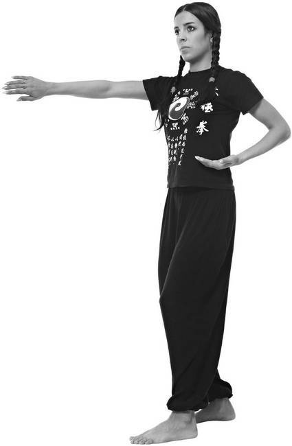 Иллюстрация к книге — Тайцзи. Секреты здоровья [i_078.jpg]