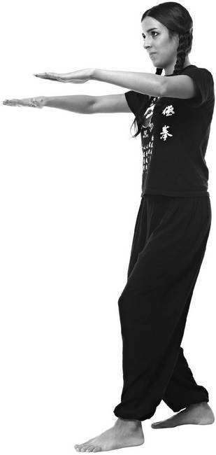 Иллюстрация к книге — Тайцзи. Секреты здоровья [i_079.jpg]