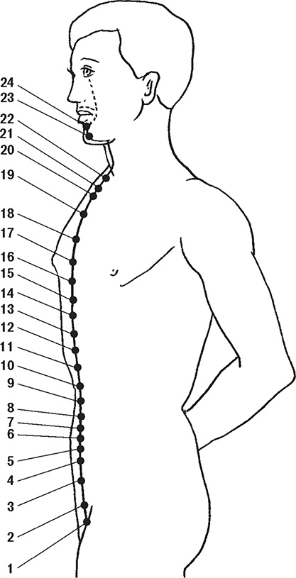 Иллюстрация к книге — Восточные секреты омоложения [Autogen_eBook_id0.jpg]