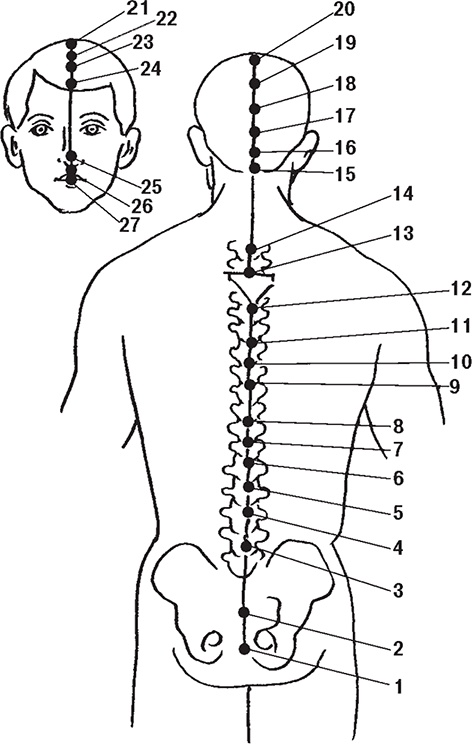 Иллюстрация к книге — Восточные секреты омоложения [Autogen_eBook_id1.jpg]