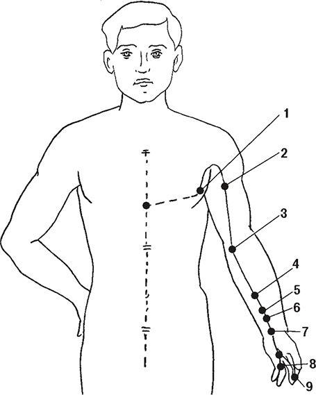 Иллюстрация к книге — Восточные секреты омоложения [Autogen_eBook_id13.jpg]