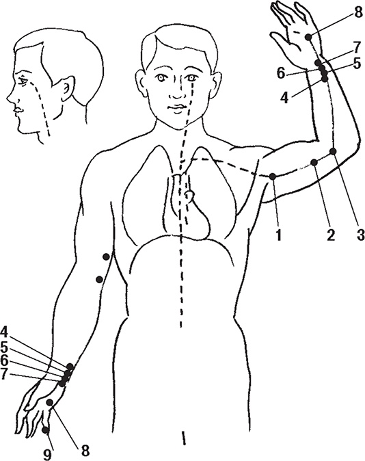 Иллюстрация к книге — Восточные секреты омоложения [Autogen_eBook_id4.jpg]