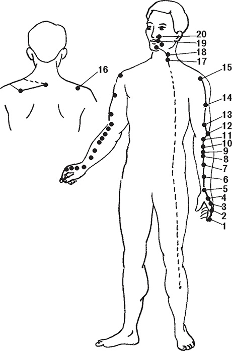 Иллюстрация к книге — Восточные секреты омоложения [Autogen_eBook_id5.jpg]