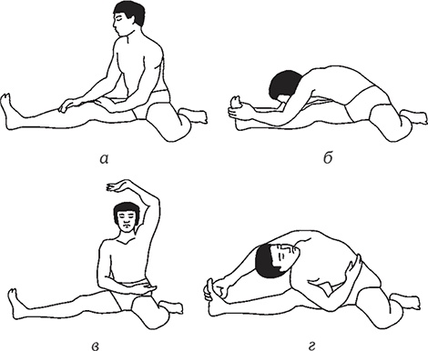 Иллюстрация к книге — Здоровье из Поднебесной. Парчовые упражнения [Autogen_eBook_id47.jpg]