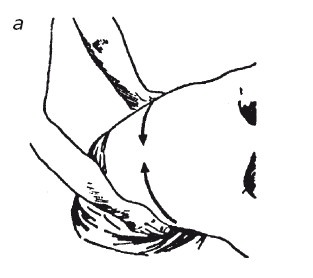 Иллюстрация к книге — Исцеляющие методики массажа. Комплексный подход [i_014.jpg]