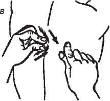 Иллюстрация к книге — Исцеляющие методики массажа. Комплексный подход [i_022.jpg]