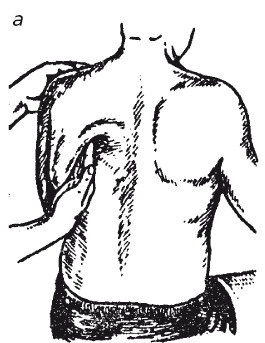 Иллюстрация к книге — Исцеляющие методики массажа. Комплексный подход [i_029.jpg]