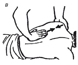 Иллюстрация к книге — Исцеляющие методики массажа. Комплексный подход [i_031.jpg]