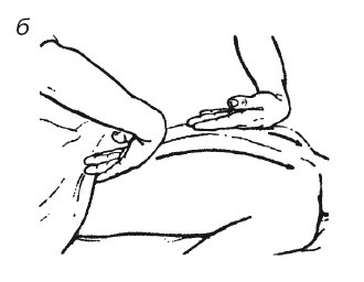 Иллюстрация к книге — Исцеляющие методики массажа. Комплексный подход [i_054.jpg]