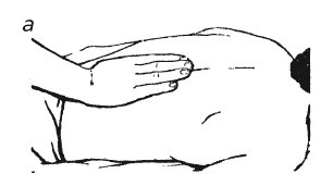 Иллюстрация к книге — Исцеляющие методики массажа. Комплексный подход [i_055.jpg]