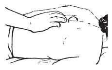 Иллюстрация к книге — Исцеляющие методики массажа. Комплексный подход [i_059.jpg]