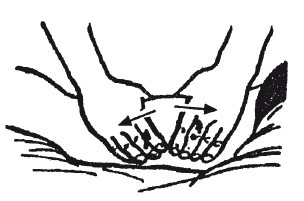 Иллюстрация к книге — Исцеляющие методики массажа. Комплексный подход [i_069.jpg]