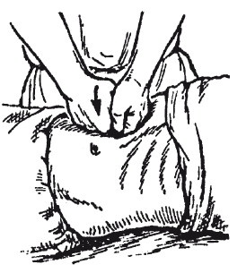 Иллюстрация к книге — Исцеляющие методики массажа. Комплексный подход [i_074.jpg]