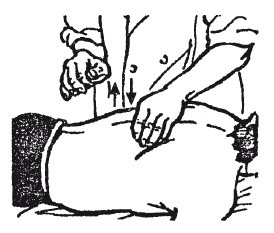 Иллюстрация к книге — Исцеляющие методики массажа. Комплексный подход [i_081.jpg]