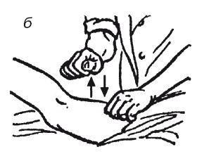 Иллюстрация к книге — Исцеляющие методики массажа. Комплексный подход [i_083.jpg]