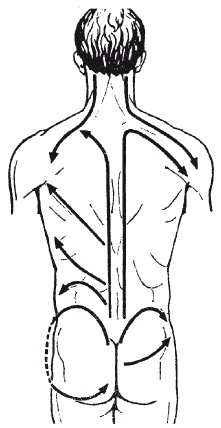Иллюстрация к книге — Исцеляющие методики массажа. Комплексный подход [i_088.jpg]