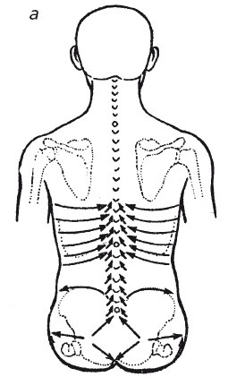 Иллюстрация к книге — Исцеляющие методики массажа. Комплексный подход [i_091.jpg]