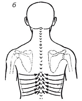 Иллюстрация к книге — Исцеляющие методики массажа. Комплексный подход [i_092.jpg]