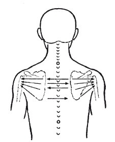 Иллюстрация к книге — Исцеляющие методики массажа. Комплексный подход [i_093.jpg]