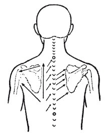 Иллюстрация к книге — Исцеляющие методики массажа. Комплексный подход [i_094.jpg]